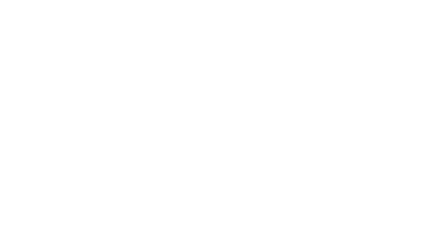 Reparatii Casete Directie